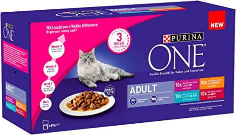 PURINA ONE Adult Cat Food Mini Fillets in Gravy, 40 x 85g: Amazon.co.uk: Pet Supplies