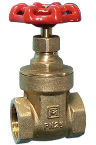 1/2" Gate Valve — Threaded
