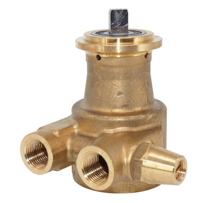 Nu.Er.T. Brass Rotary Vane Pump 3/8" NPT Ports, 100 LPH with Balanced Bypass Valve