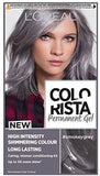 L'Oreal Colorista Violet Permanent Hair Dye Gel Long-Lasting Permanent Hair Colo
