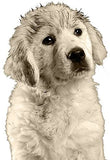 Dog Puppy Shampoo Conditioner Grooming Pets White Shampoo Light coats 250 ml