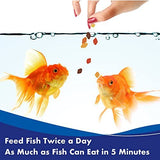 Complete Nutrition Aquarium Goldfish Food Flakes Also Suitable For Small Pond F