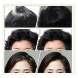 TEMPORARY ANTI-GRAY HAIR STICK