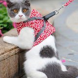 Pet Dog Cat Vest Outdoor Travel Harness Leash Set