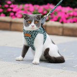 Pet Dog Cat Vest Outdoor Travel Harness Leash Set